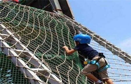 怎樣提高孩子的意志力