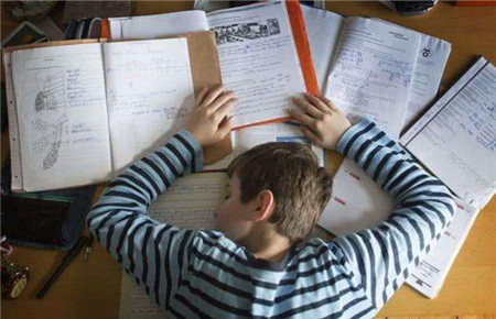 孩子不寫作業(yè)原因