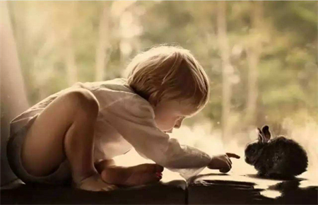 初中孩子叛逆家長怎么辦