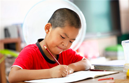 怎么解決孩子不寫作業問題