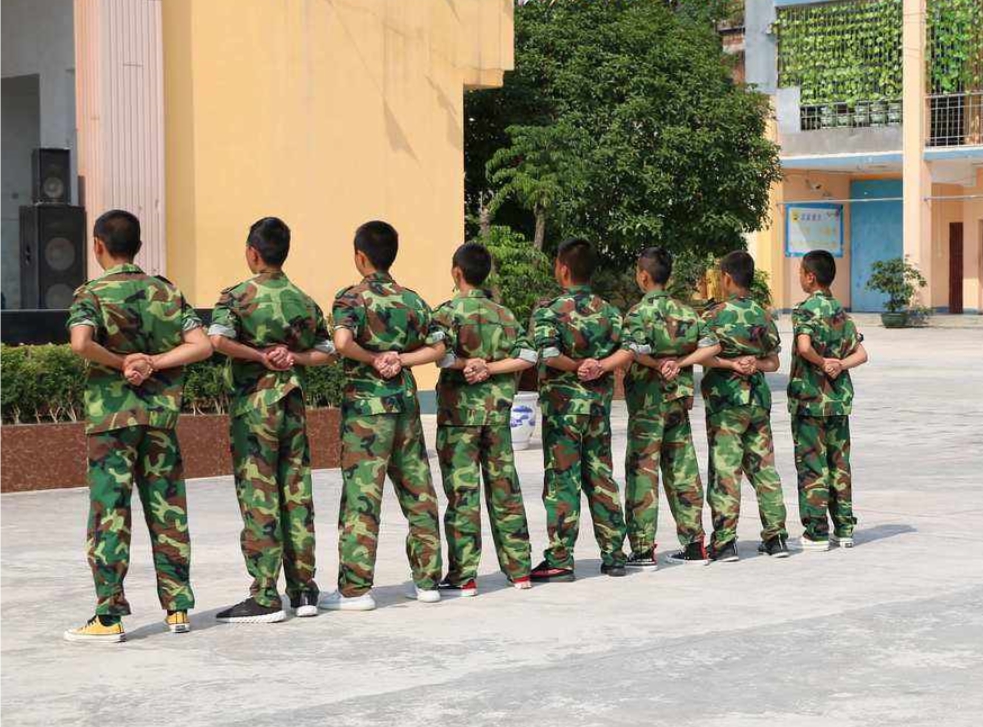 戒網癮學校,戒除網癮學校