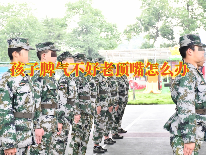 孩子叛逆期教育學(xué)校,青少年封閉式教育學(xué)校 孩子叛逆期教育學(xué)校,青少年封閉式教育學(xué)校