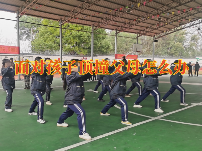 孩子叛逆期教育學(xué)校,如何管教孩子叛逆 孩子叛逆期教育學(xué)校,如何管教孩子叛逆