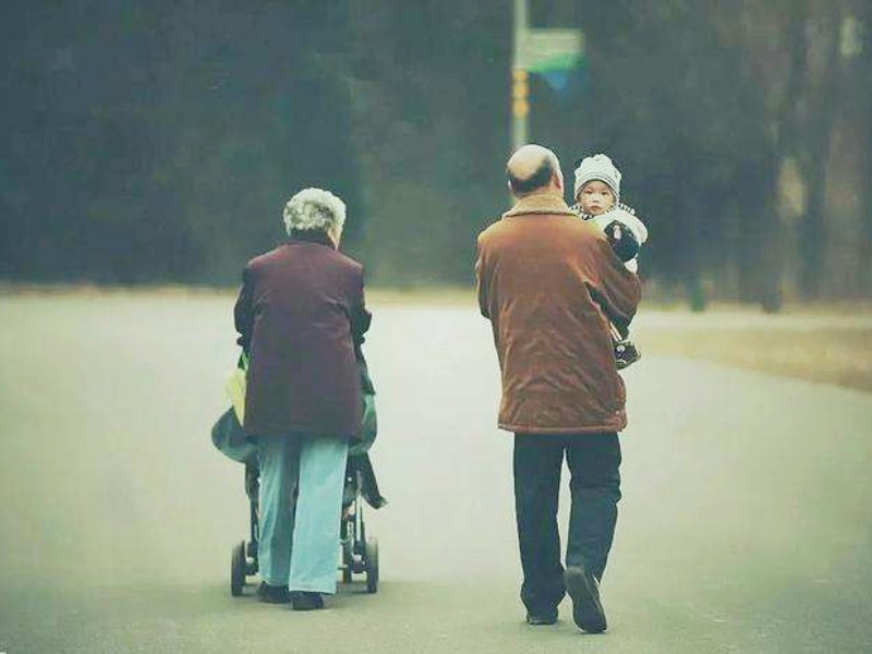 啃老,青少年封閉式教育學校