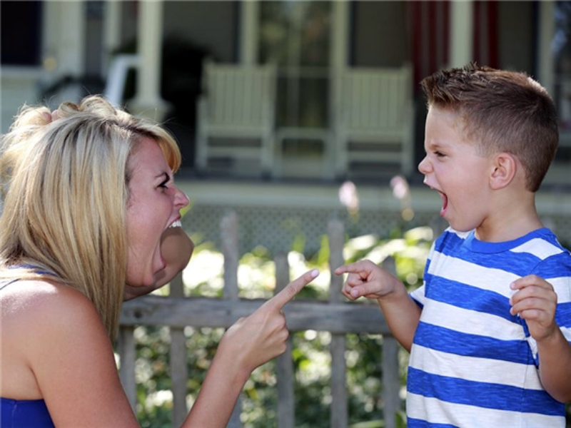 暴力傾向,,青少年封閉式教育學(xué)校