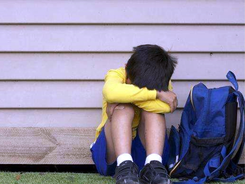 輟學,素質教育學校