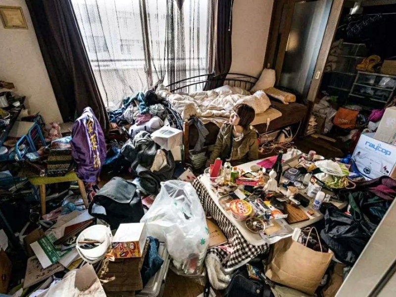 啃老,素質教育學校