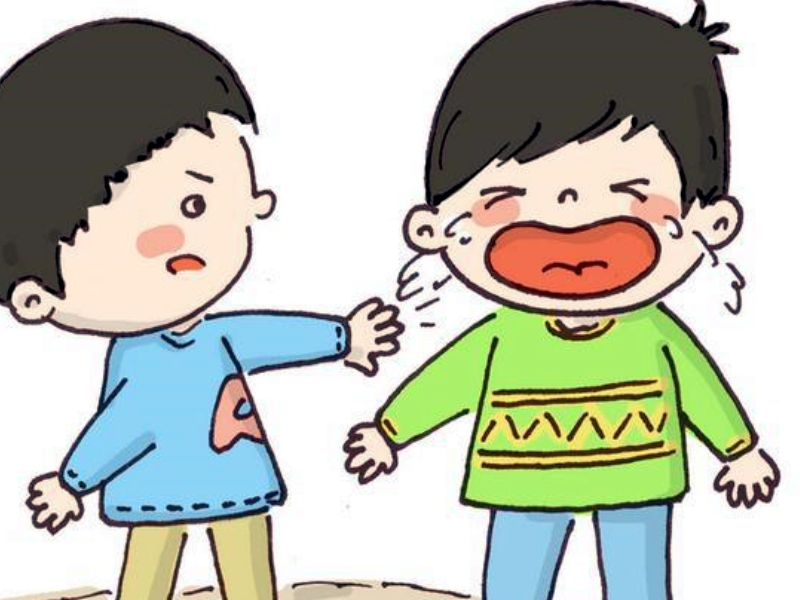 暴力傾向,特訓學校