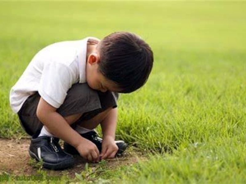 孩子自卑,心理輔導學校 孩子自卑,心理輔導學校