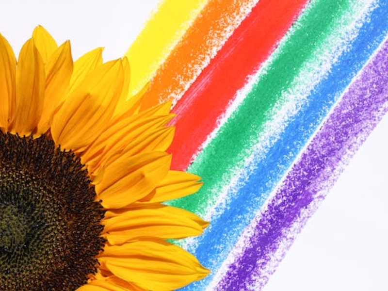 孩子同性戀,青少年特訓學校 孩子同性戀,青少年特訓學校