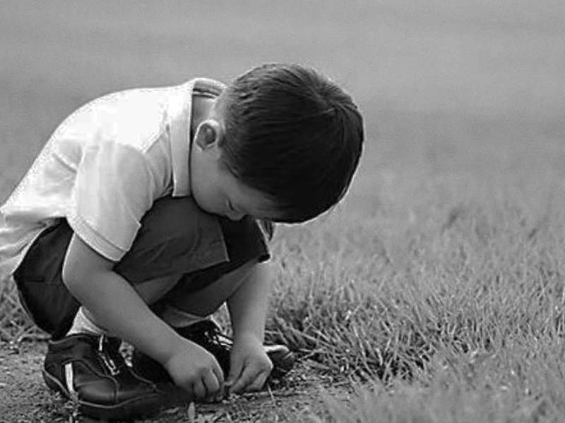 心理輔導(dǎo)學(xué)校,兒童心理輔導(dǎo)學(xué)校