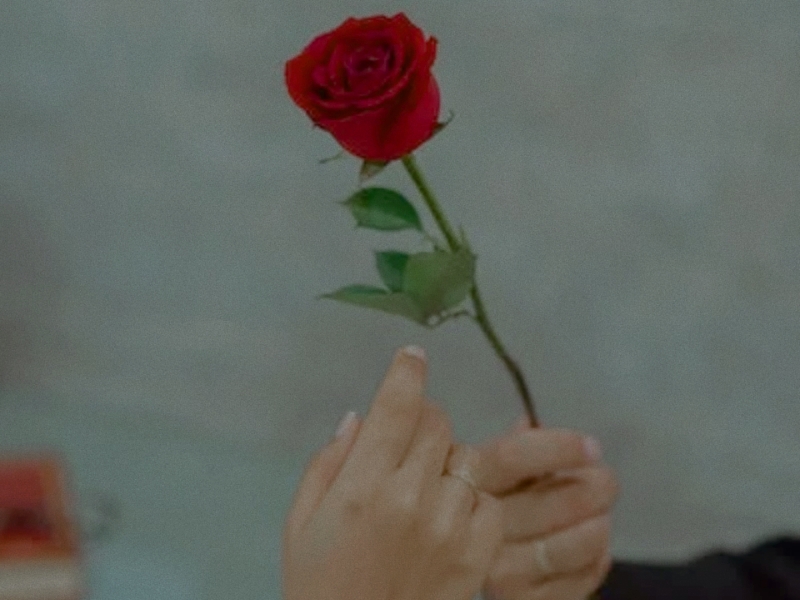 孩子早戀,早戀管教學校 孩子早戀,早戀管教學校