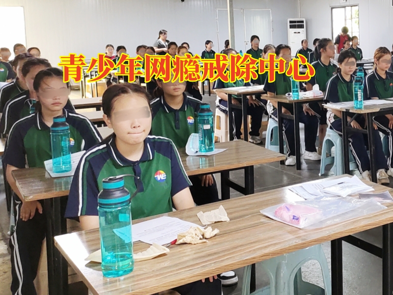 孩子迷上網(wǎng)絡(luò)小說(shuō),孩子沉迷小說(shuō)