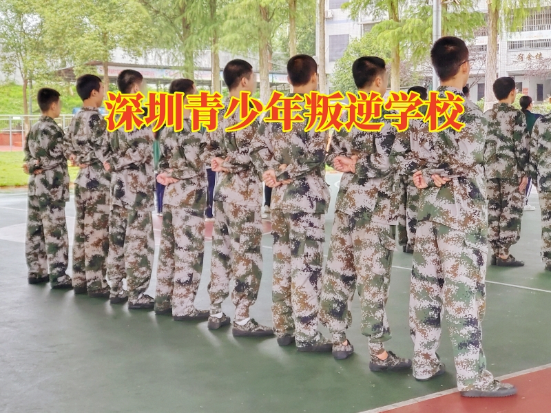 孩子同性戀,正規的問題少年學校