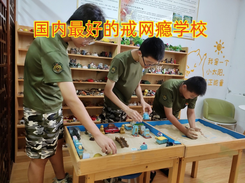 孩子黑白顛倒,正規(guī)戒網(wǎng)癮學(xué)校