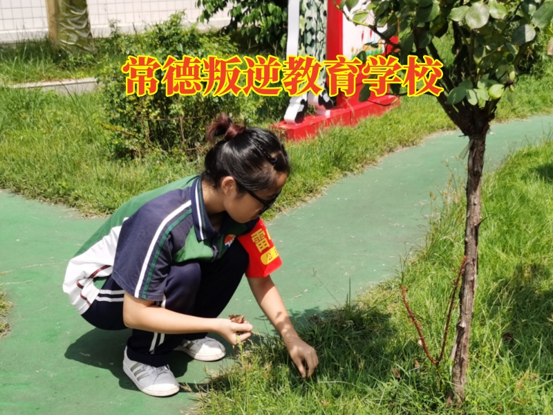 孩子混社會,叛逆管教學校