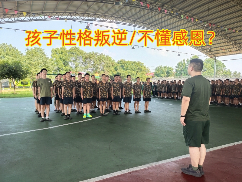 孩子不懂感恩,孩子叛逆不懂感恩 孩子不懂感恩,孩子叛逆不懂感恩