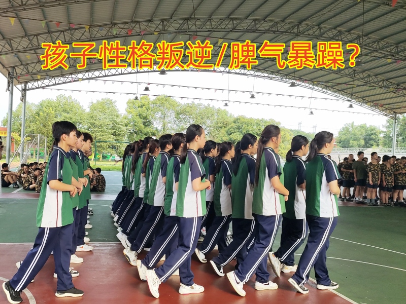 孩子暴躁易怒,孩子脾氣暴躁 孩子暴躁易怒,孩子脾氣暴躁