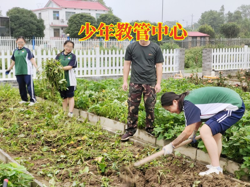 孩子偷東西,叛逆管教學(xué)校