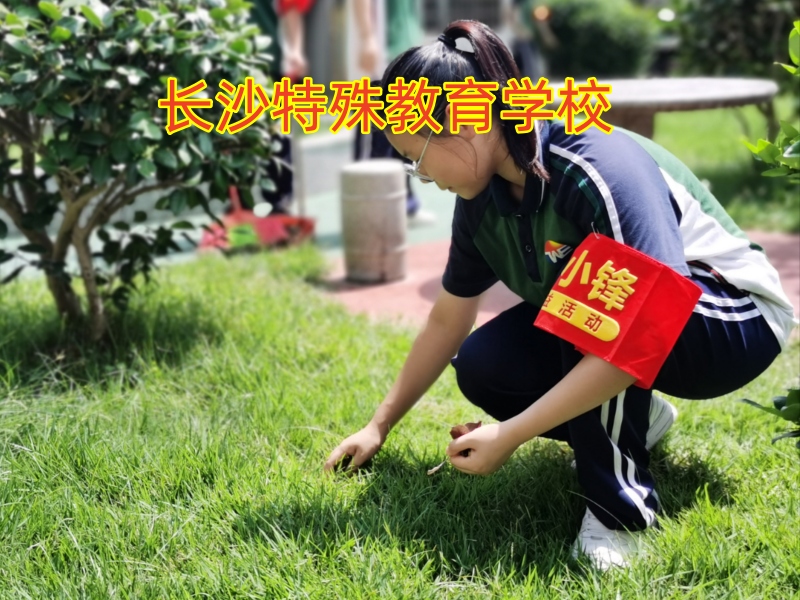 小孩抽煙,青少年特殊教育學校 小孩抽煙,青少年特殊教育學校