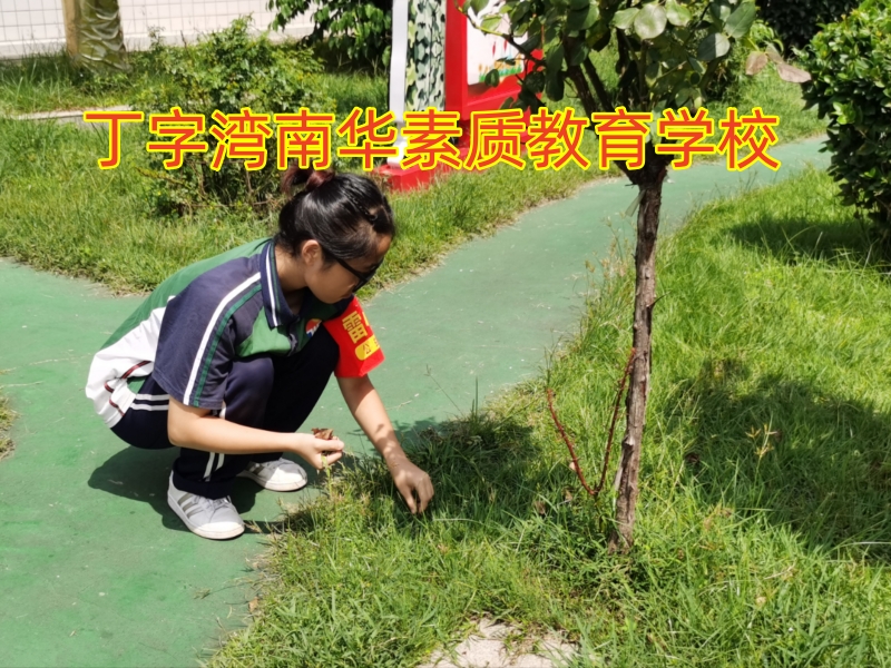 孩子啃老,素質(zhì)教育學(xué)校