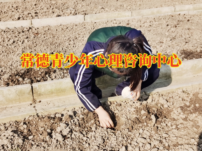 孩子意志薄弱,孩子意志薄 孩子意志薄弱,孩子意志薄