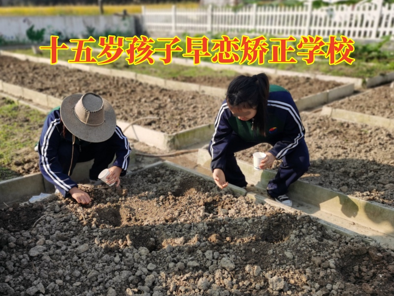 孩子早戀,早戀教育學校