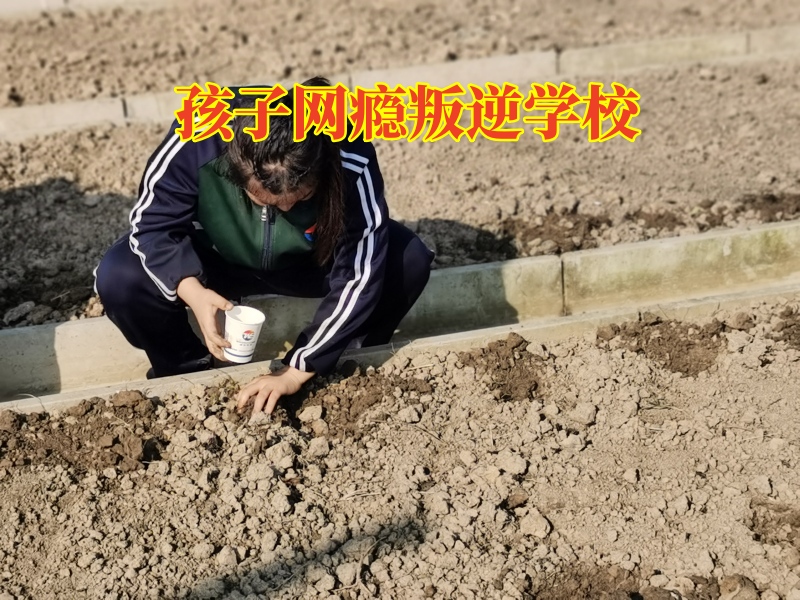 孩子沉迷游戲,戒網(wǎng)癮學(xué)校