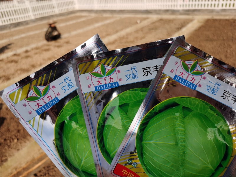 新起點青少年特訓學校,青少年特訓學校