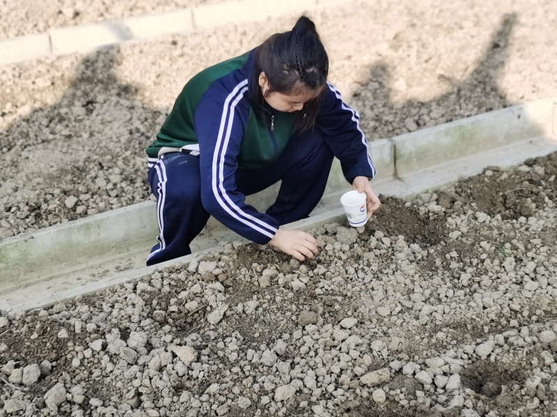 新起點青少年特訓學校,青少年特訓學校