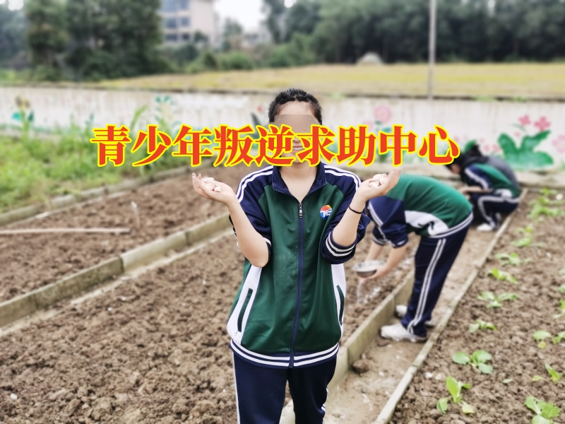 青少年叛逆求助中心，青春期孩子離家出走家長如何幫助孩子進行改善