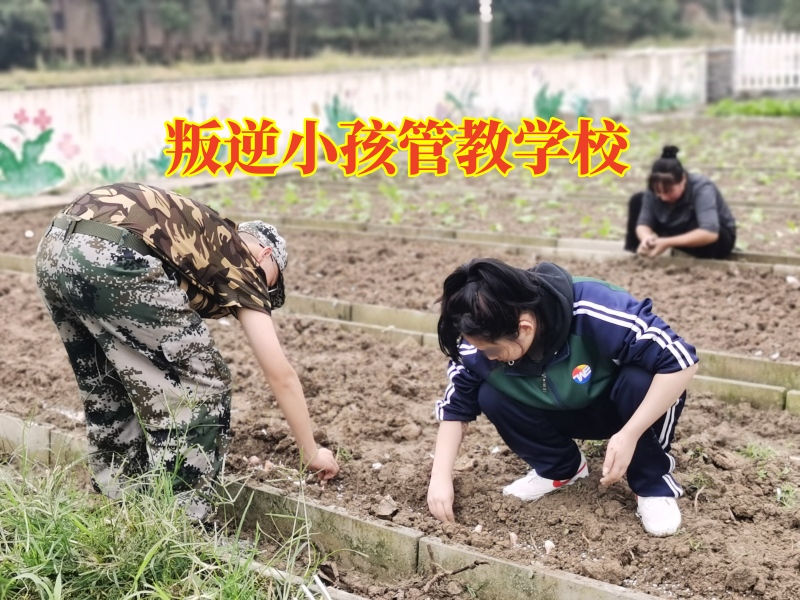 叛逆小孩管教學校，孩子愛頂撞,孩子叛逆期教育學校