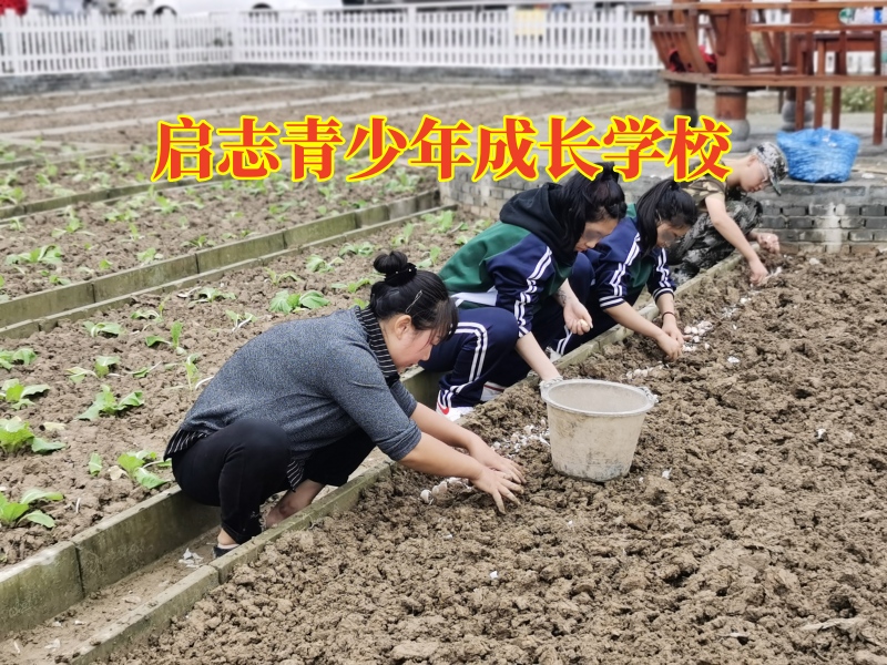 啟志青少年成長學校讓孩子變得更加外向 啟志青少年成長學校讓孩子變得更加外向