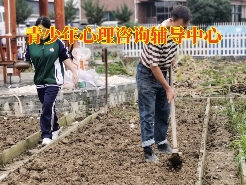 家長(zhǎng)可以這樣解決青春期的孩子不交流問(wèn)題