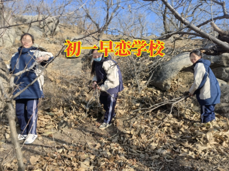 初一早戀學校，初一早戀學校教您這樣處理孩子早戀問題