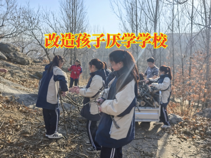 改造孩子厭學學校，改造孩子厭學學校針對孩子成績下降的原因分析