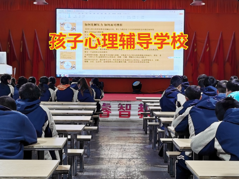 孩子心理輔導學校幫助教育孤僻不合群的孩子 孩子心理輔導學校幫助教育孤僻不合群的孩子