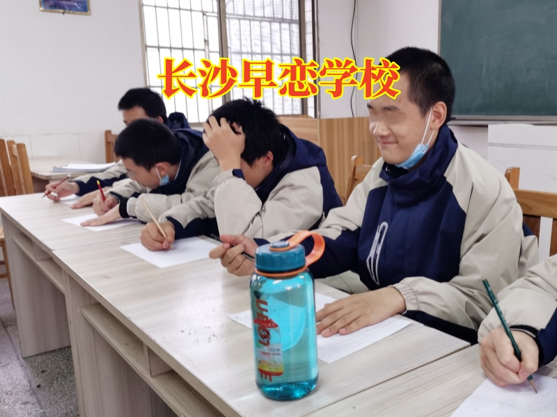 長沙早戀學校，長沙早戀學校對孩子網戀的危害分析