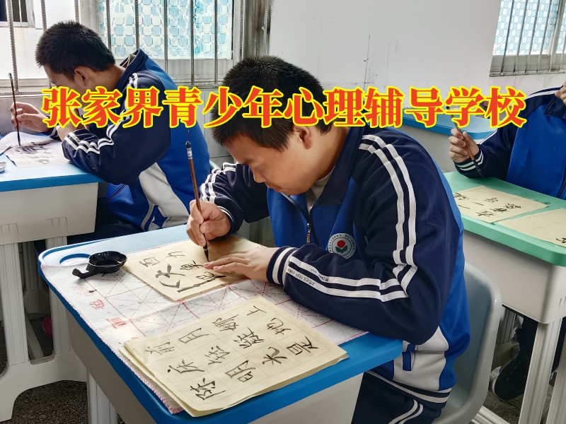 張家界青少年心理輔導(dǎo)學(xué)校建議這樣開(kāi)導(dǎo)情緒低落的孩子