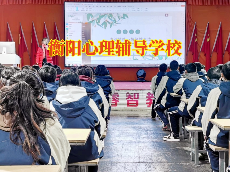 衡陽心理輔導學校，衡陽心理輔導學校對孩子情緒低落的建議