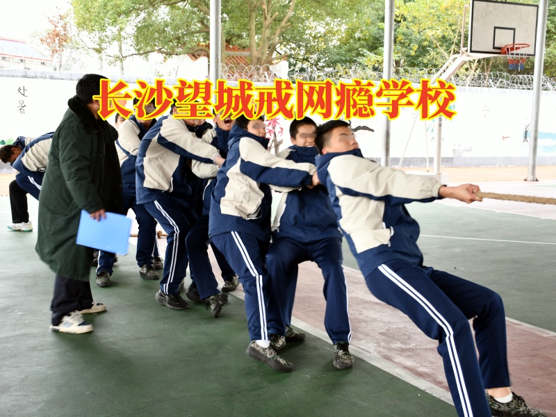 長沙望城戒網癮學校分析孩子看網絡小說的危害