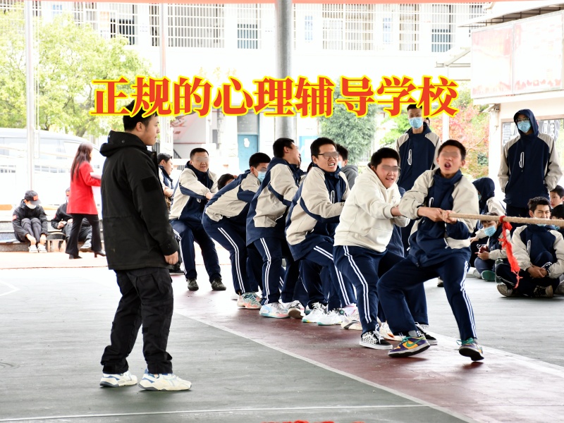 正規的心理輔導學校三招教家長培養出有主見的孩子