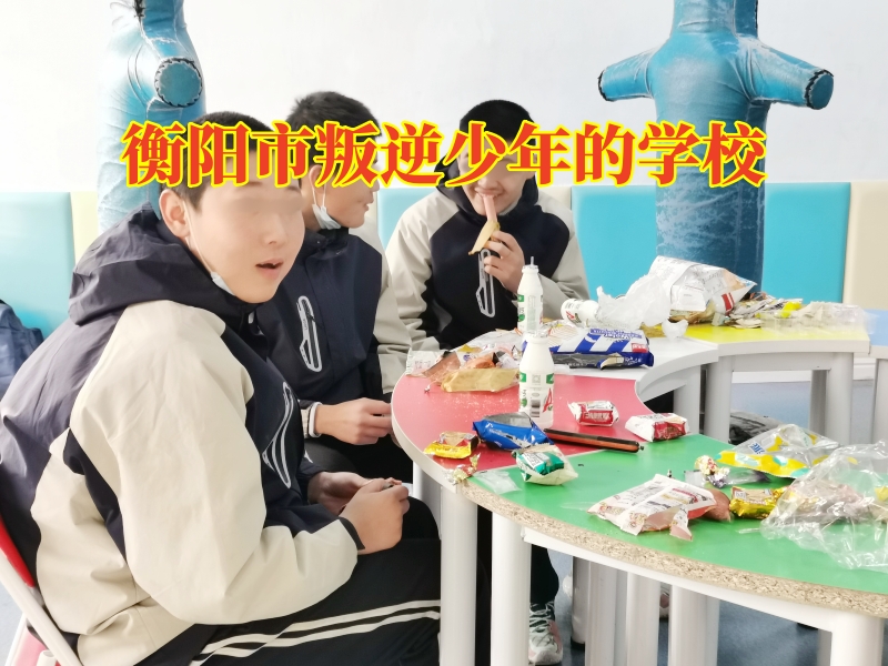 衡陽市叛逆少年的學校，衡陽市叛逆少年的學校針對孩子亂交朋友的三點對策