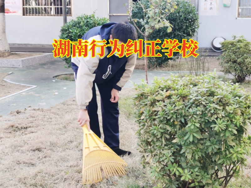 湖南行為糾正學(xué)校,湖南行為糾正學(xué)校改變孩子寫作業(yè)拖拉 湖南行為糾正學(xué)校,湖南行為糾正學(xué)校改變孩子寫作業(yè)拖拉