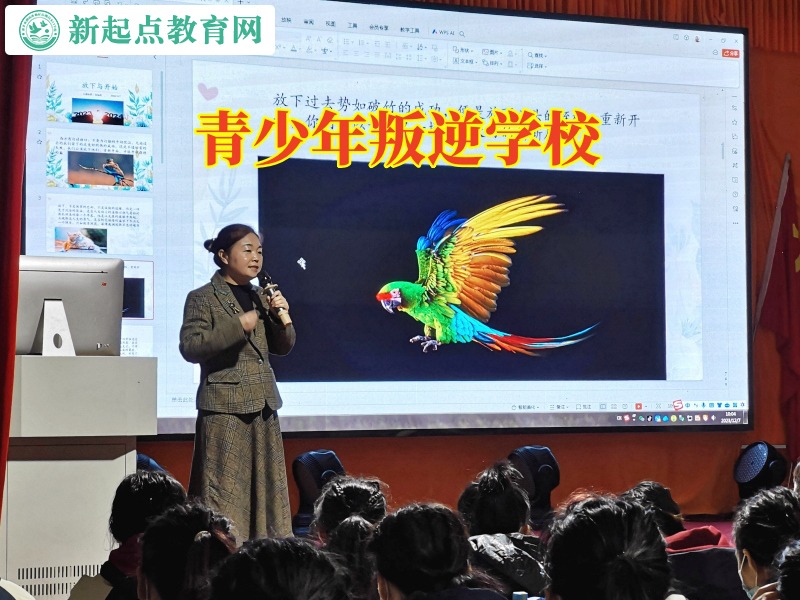 青少年叛逆學(xué)校分析孩子過度攀比的危害