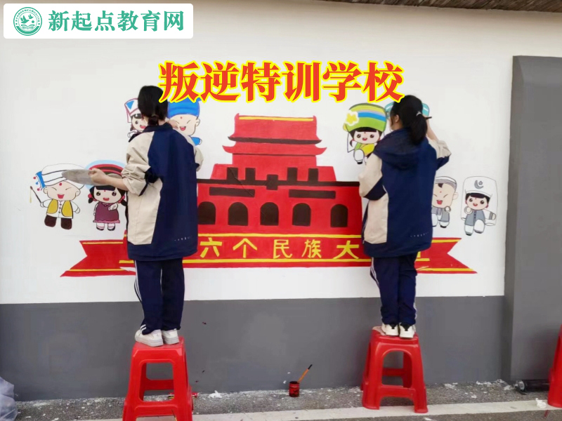 叛逆特訓學校，孩子有暴力傾向叛逆特訓學校這樣做