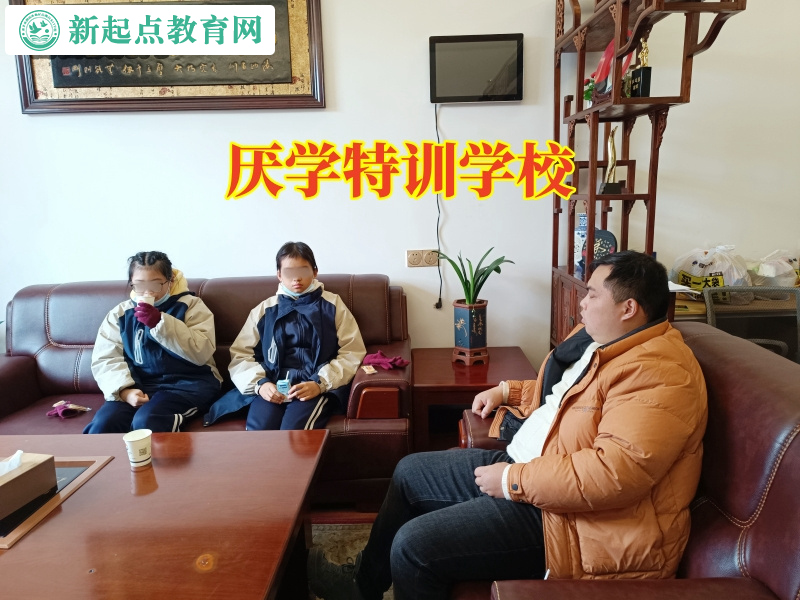 厭學特訓學校，厭學特訓學校針對孩子不去上學的建議