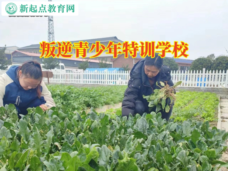 叛逆青少年特訓學校,叛逆青少年特訓學校針對孩子拒絕溝通怎么辦的建議 叛逆青少年特訓學校,叛逆青少年特訓學校針對孩子拒絕溝通怎么辦的建議