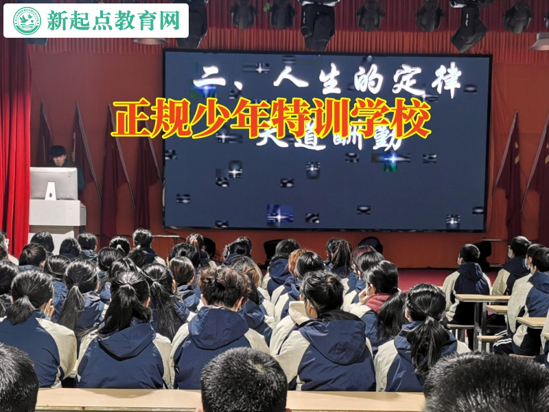 正規少年特訓學校幫助不愛社交的孩子成長