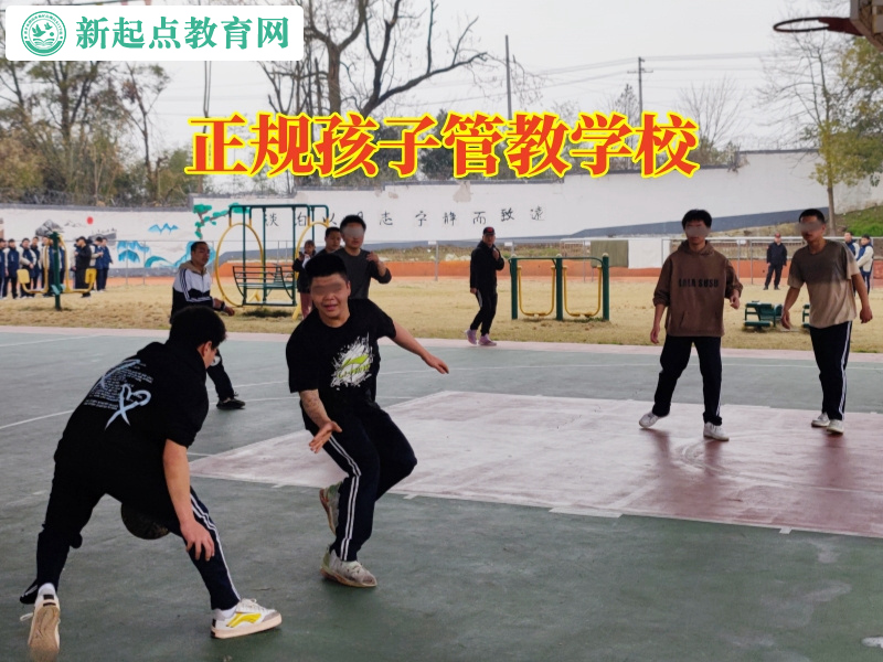 正規孩子管教學校，正規孩子管教學校建議家長這樣解決孩子偷錢行為